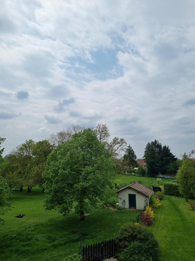 Manoir Le Parc Near Paris & Disneyland Villevaude Екстер'єр фото